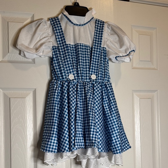 Blue Gingham Dorothy dress size small - Picture 1 of 5